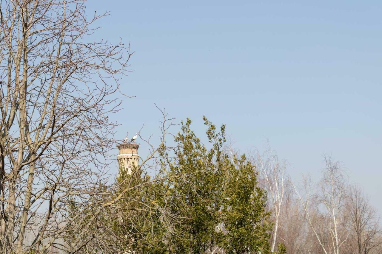 Centro Historico - Muralla Revellin Logroño Kültér fotó